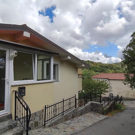 Apartma Apollonio Črni Kal Exterior foto